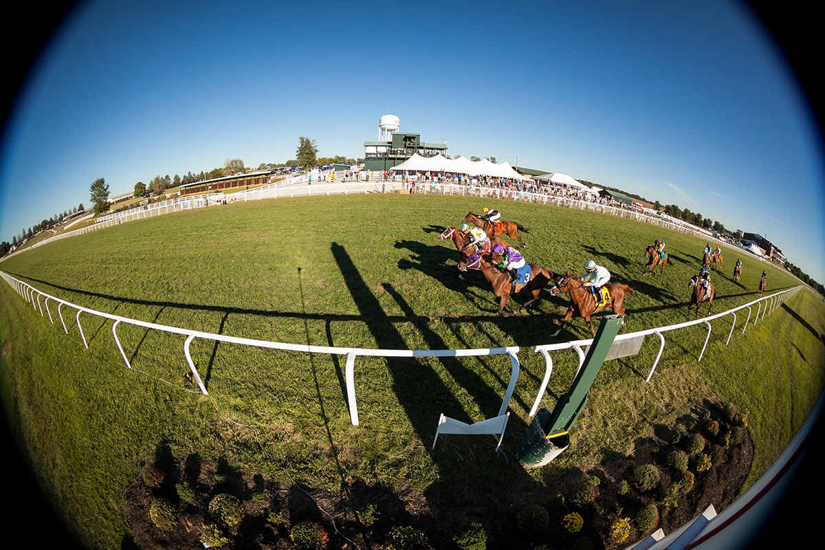 Kentucky Downs fisheye scenic