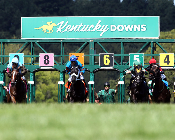 Kentucky Downs turf race
