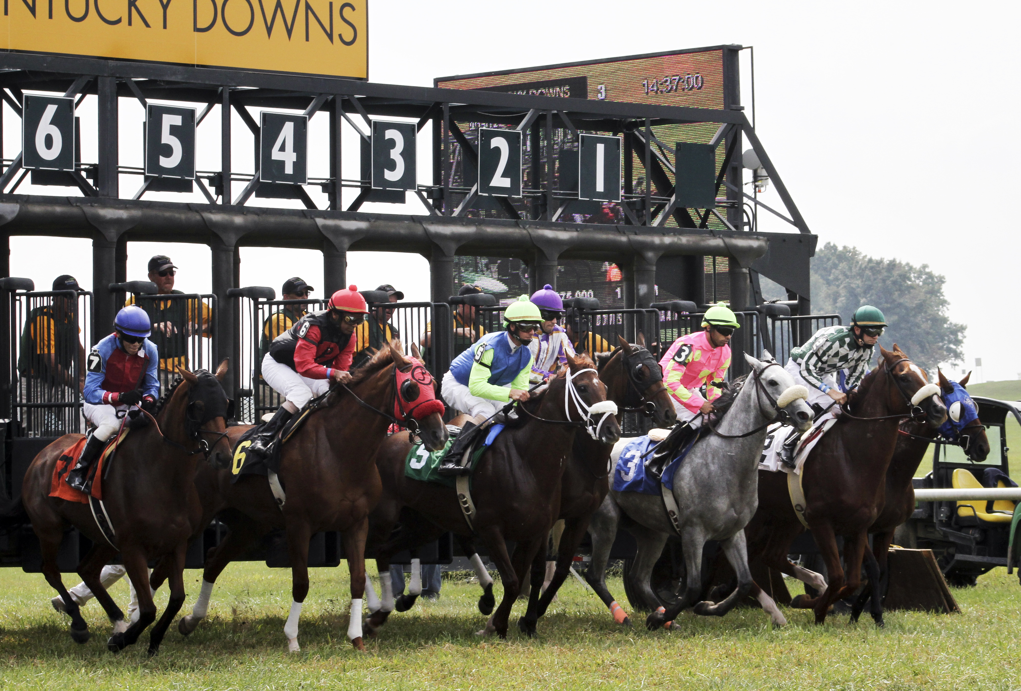Kentucky Downs race start
