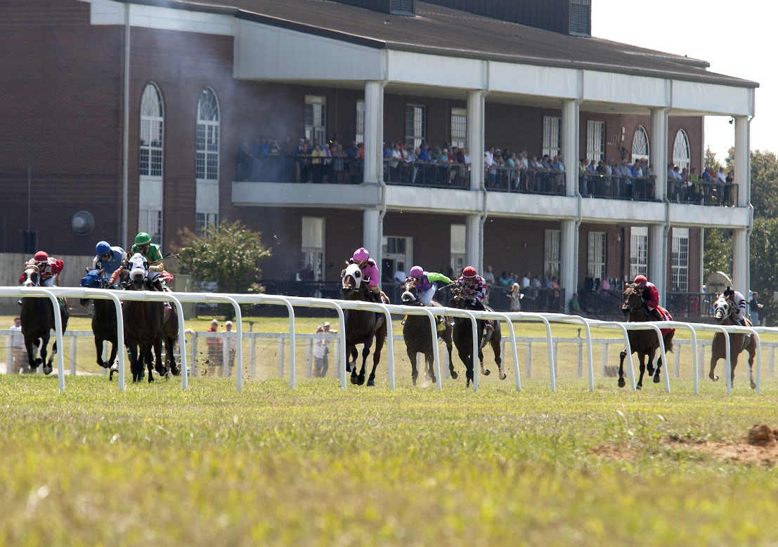 Turf racing at Kentucky Downs