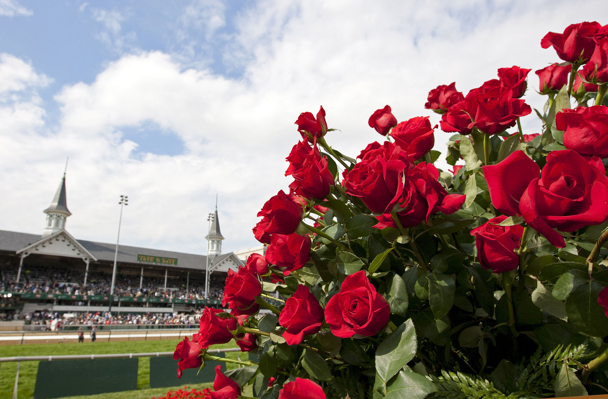 Churchill Downs/Roses
