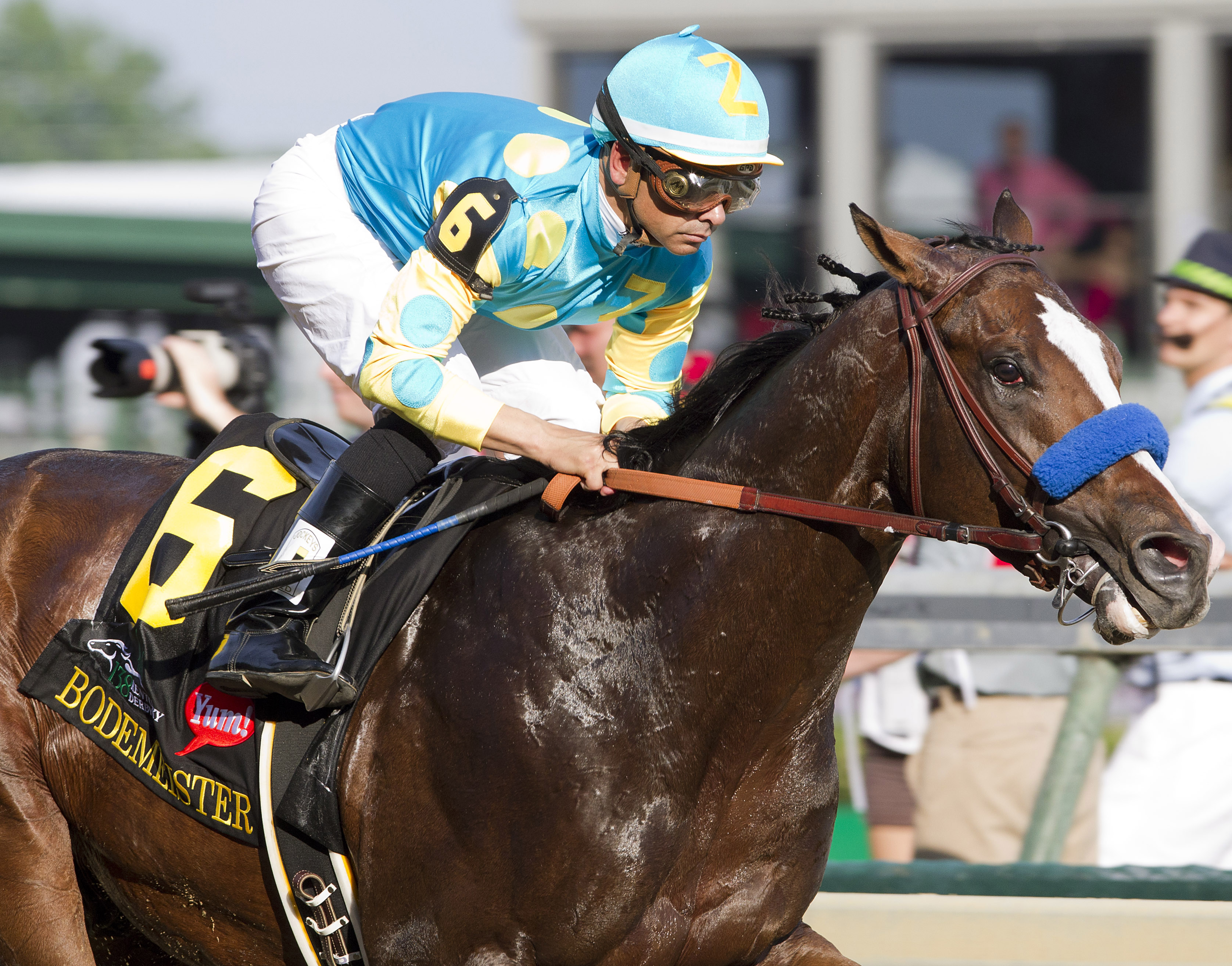 Bodemeister