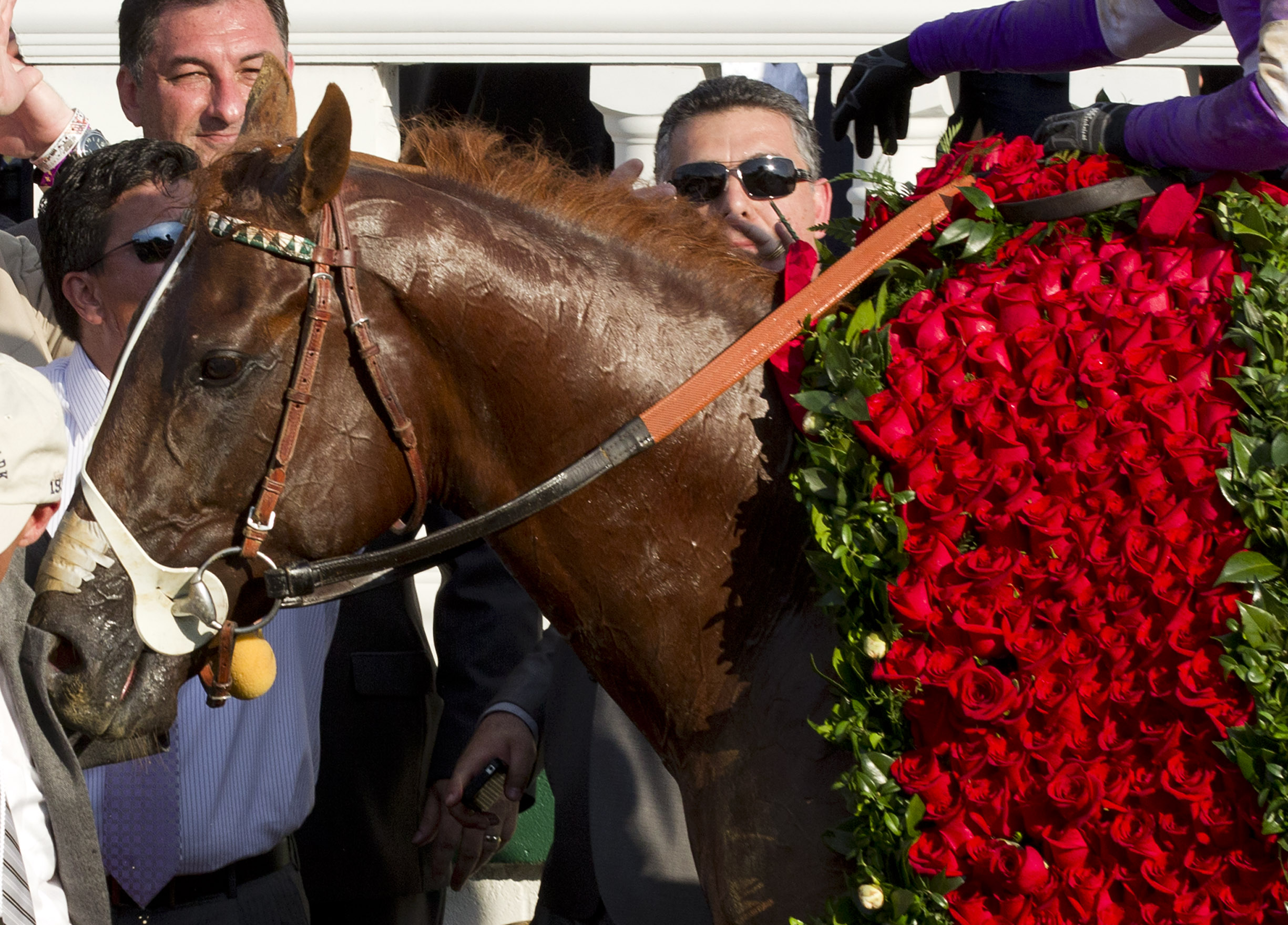 Preakness 2012: I'll Have Another will keep tabs on Bodemeister