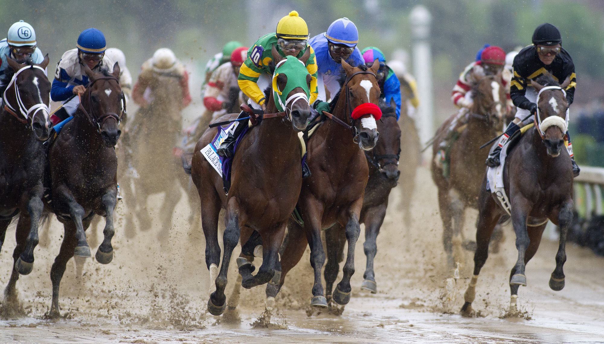 Brad Free: Hollendorfer filly's big brother Palace Malice does good