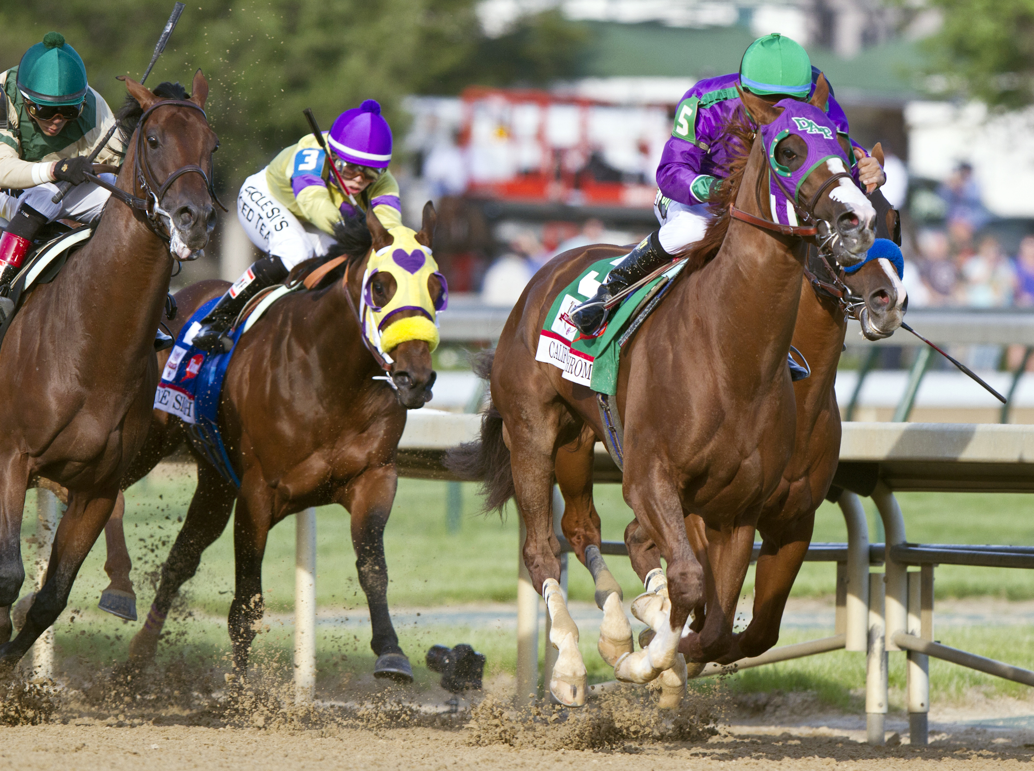 California Chrome's Kentucky Derby win a coup for statebred program