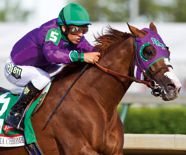 California Chrome eclipse