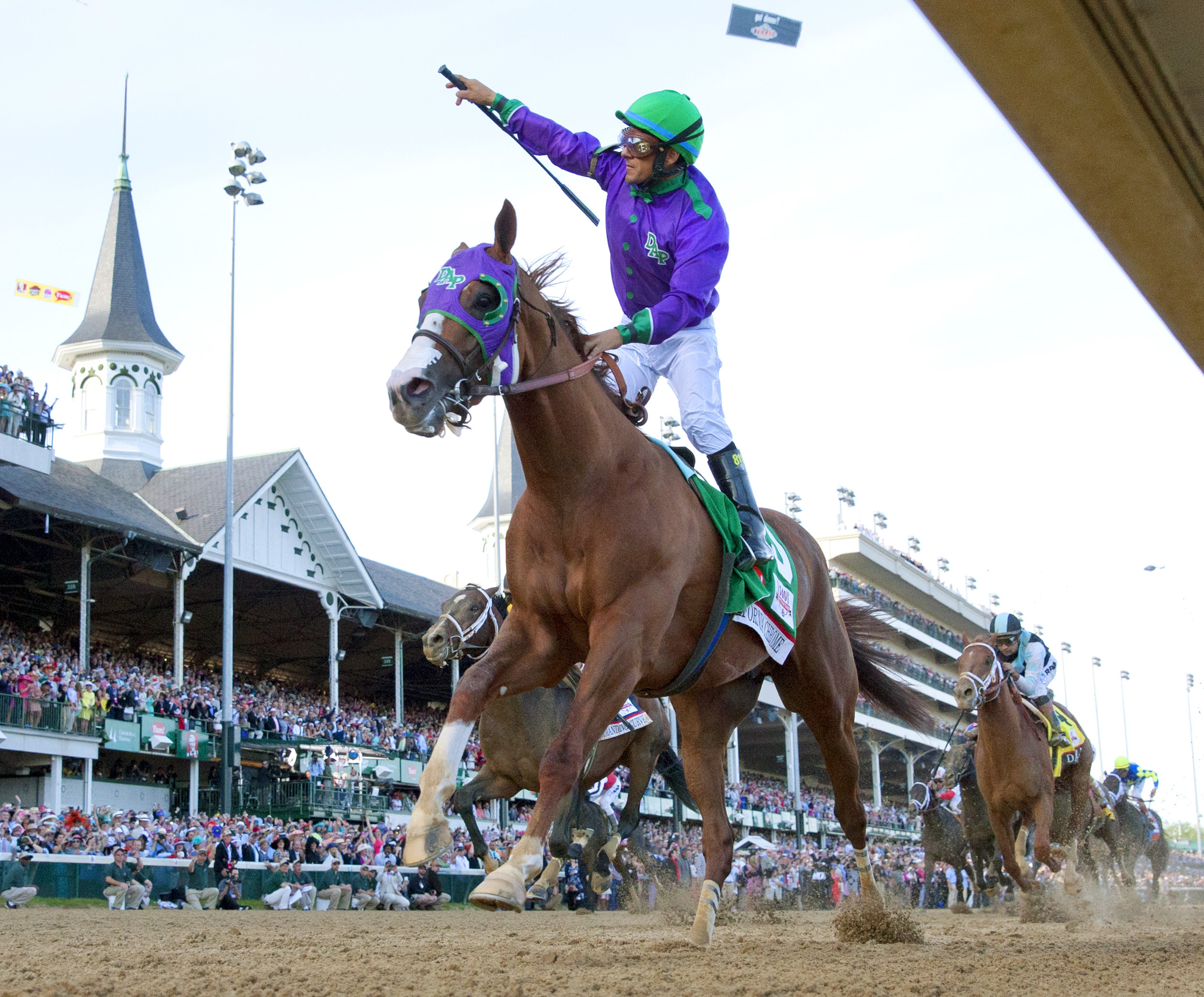 California Chrome