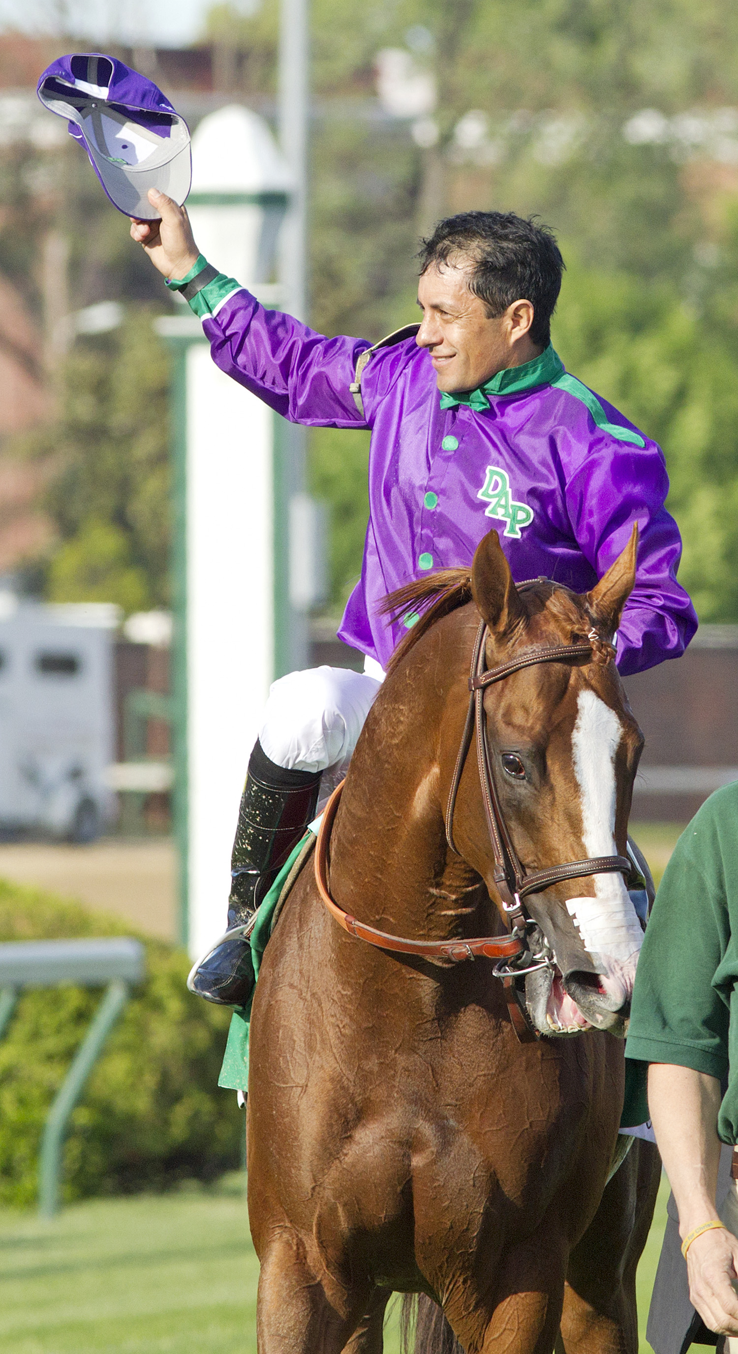 California Chrome nasal strips