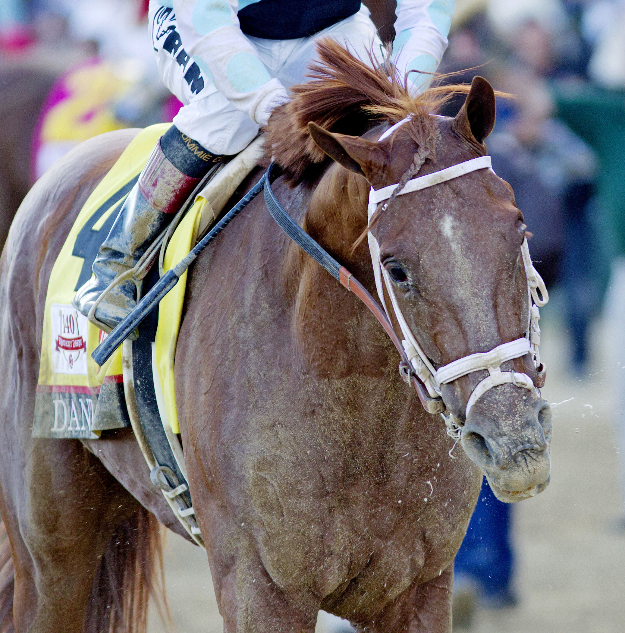 Danza, Kentucky Derby