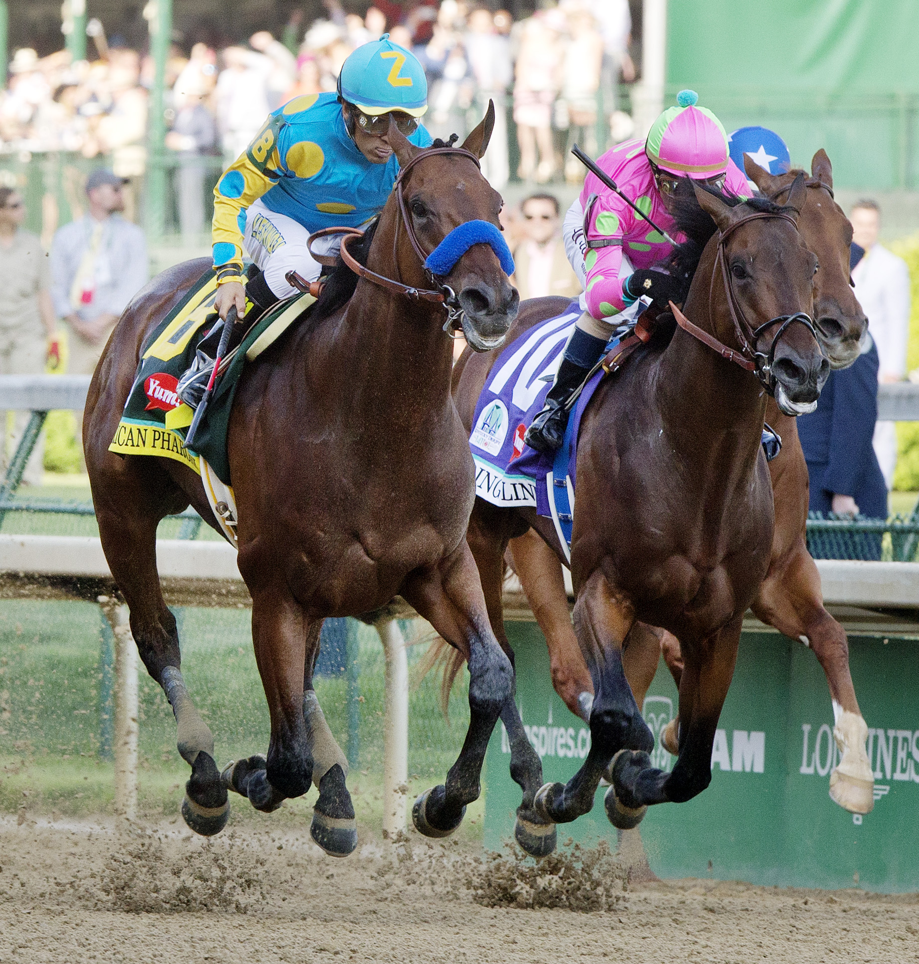 Firing Line finishes second in the Kentucky Derby
