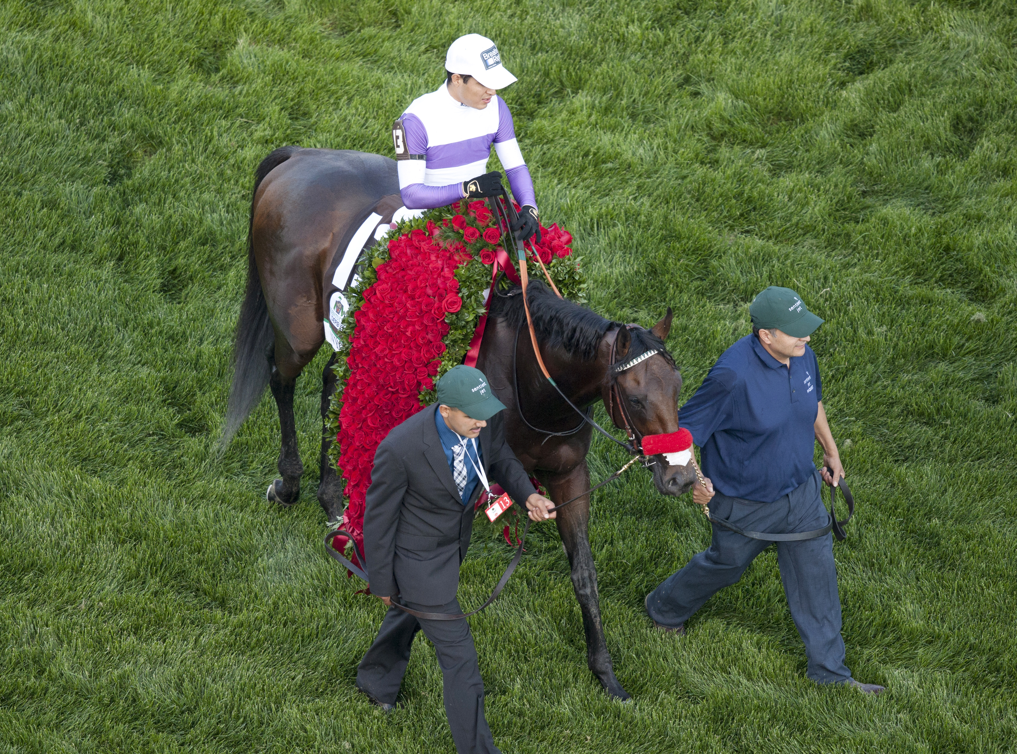 Nyquist after winning the Kentucky Derby