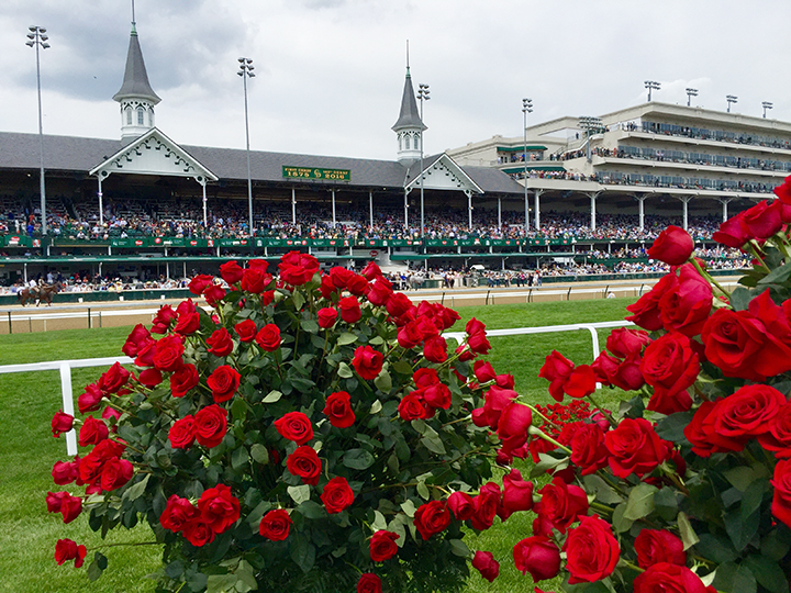 Kentucky Derby roses and spires