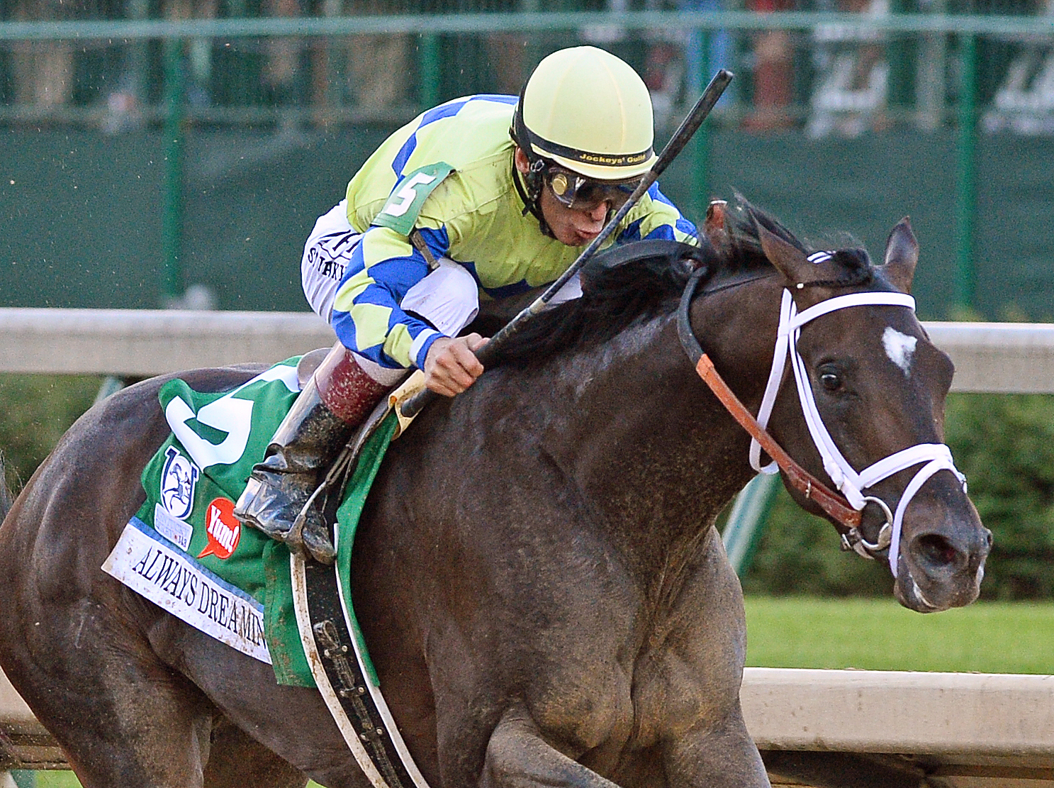 Always Dreaming wins the Kentucky Derby