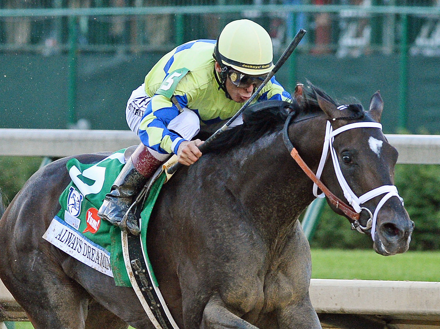 Always Dreaming wins the Kentucky Derby