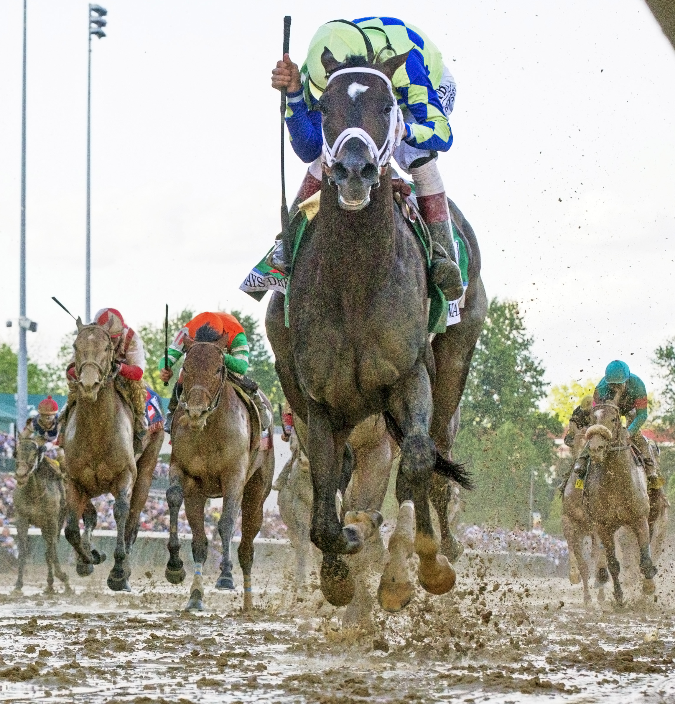 Always Dreaming wins the Kentucky Derby - head on