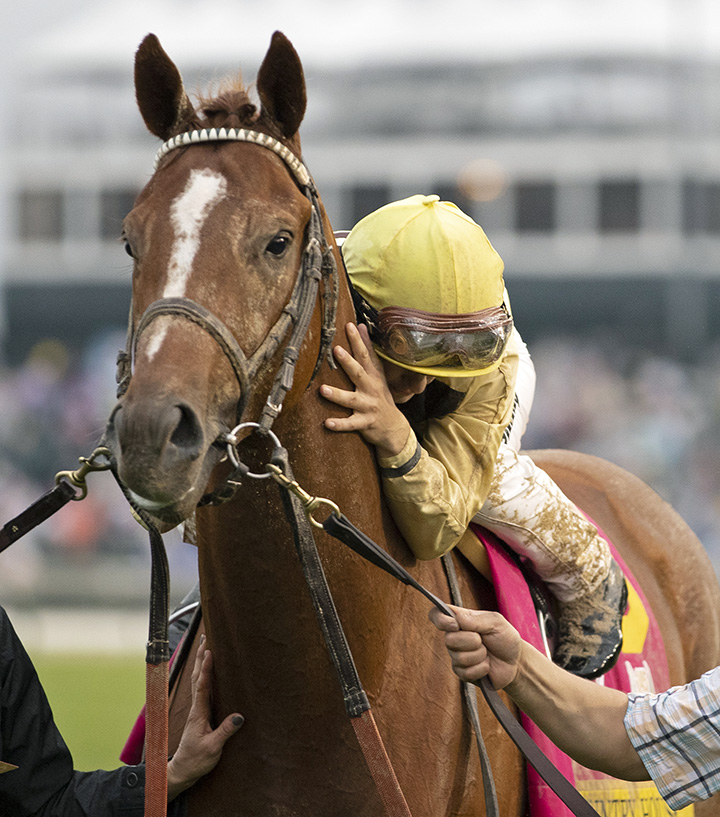 Country House after the Kentucky Derby