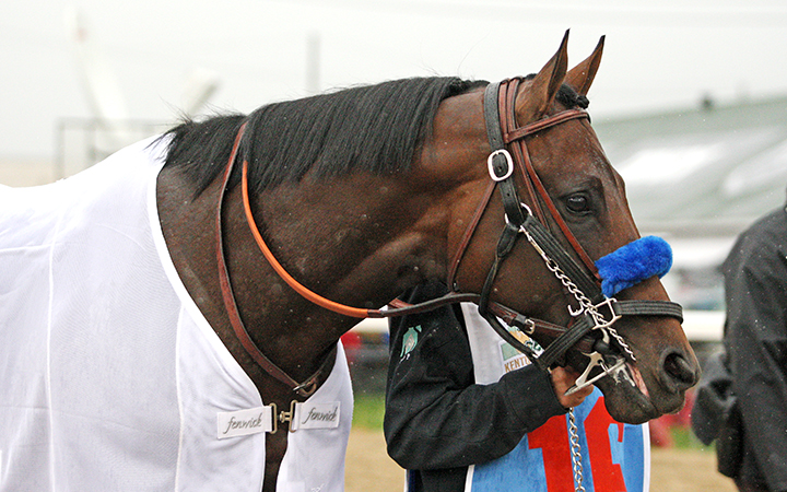 Game Winner at the Kentucky Derby