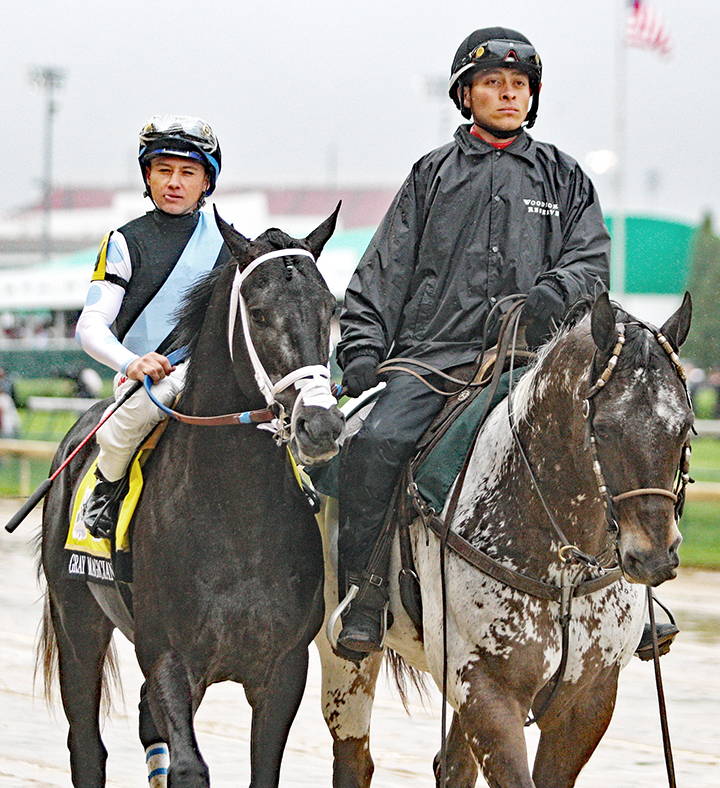 Gray Magician at the Kentucky Derby
