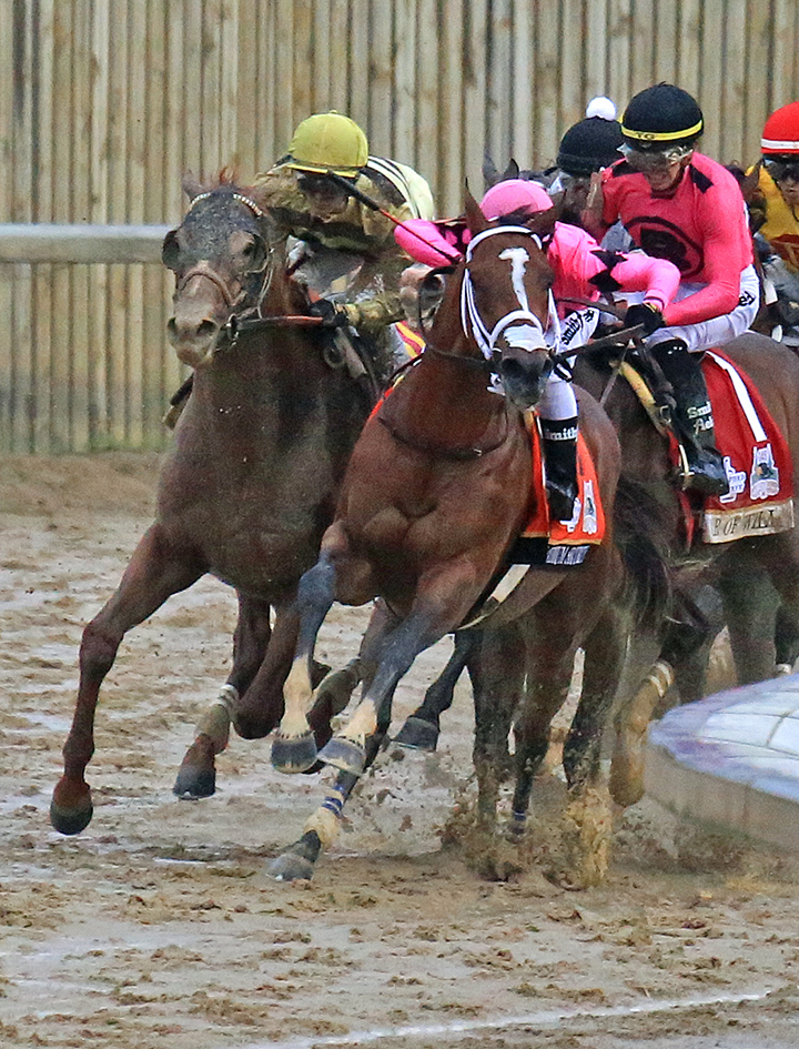Maximum Security dq incident in final turn of 2019 Kentucky Derby