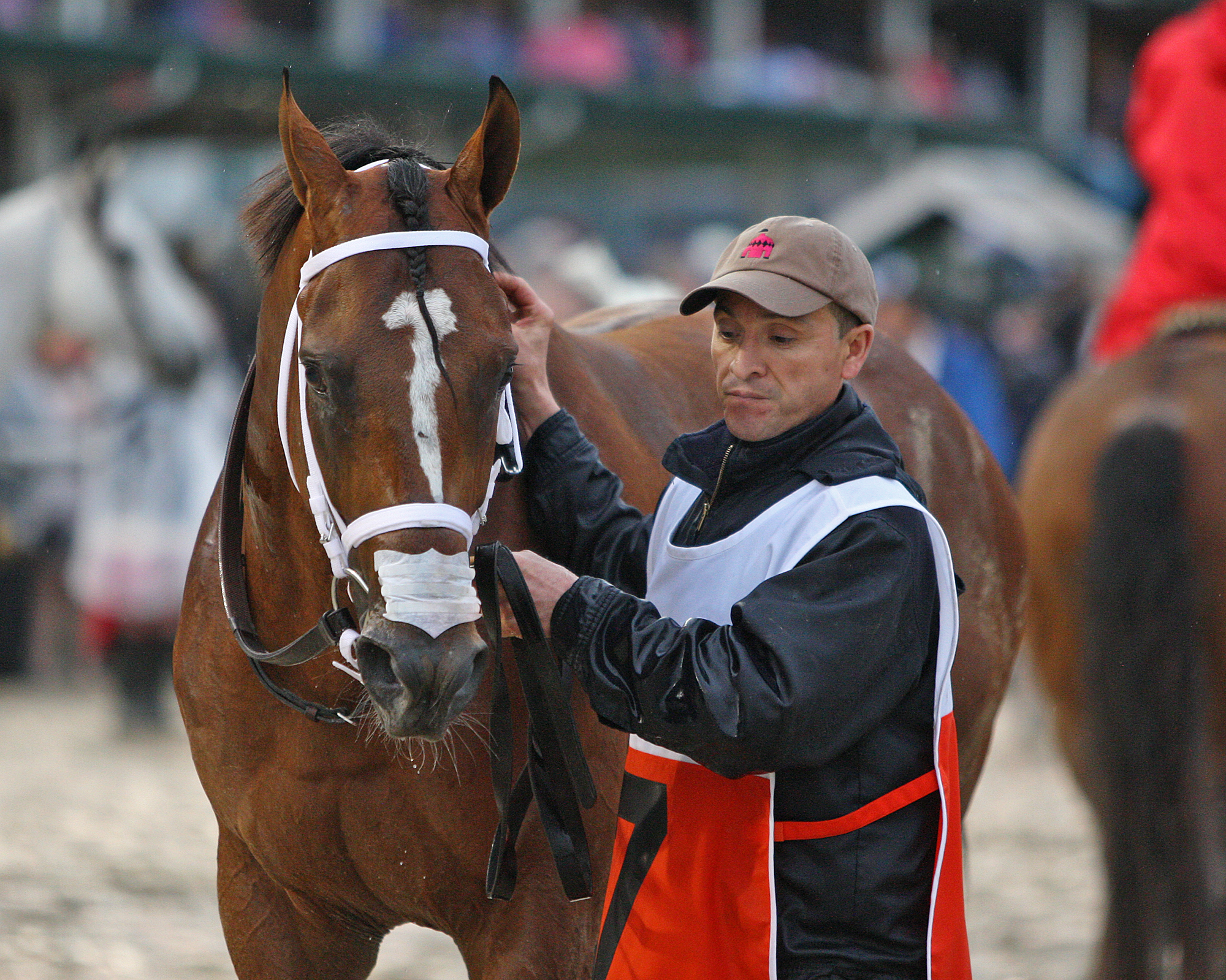 Maximum Security after the Kentucky Derby