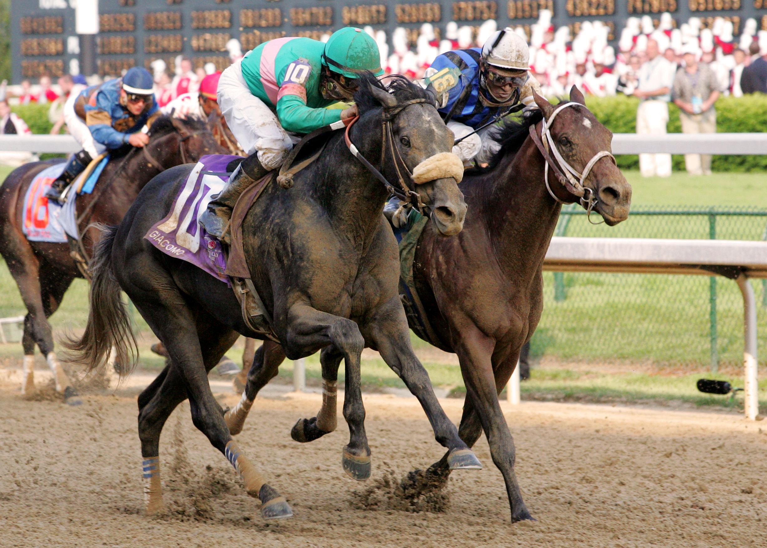 Giacomo, Heatseeker to stand in California