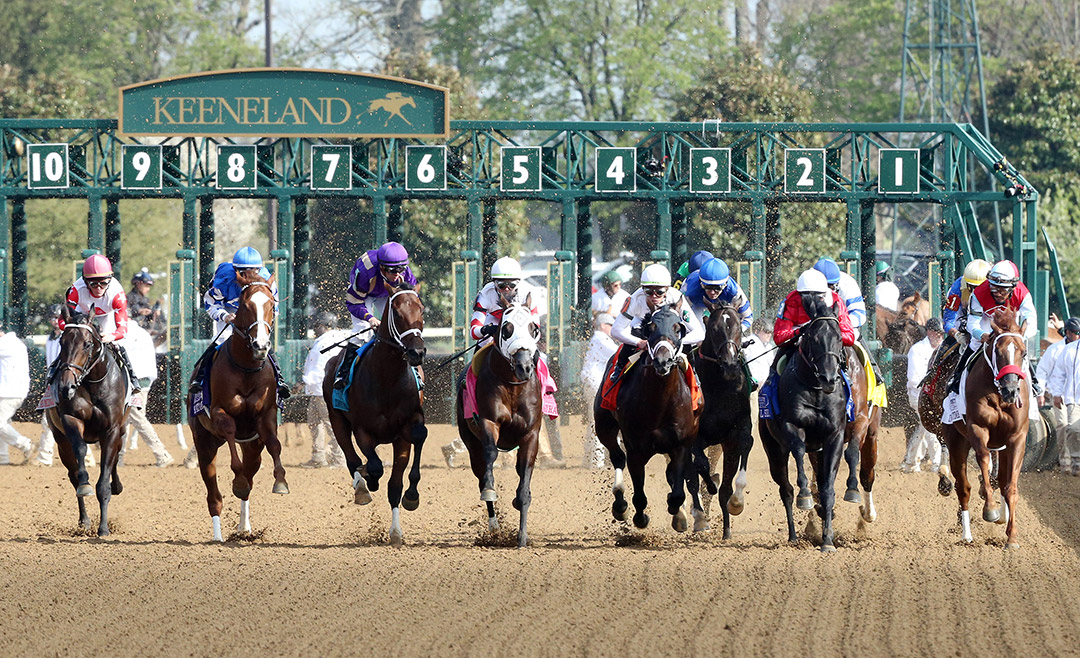 Horse Racing
