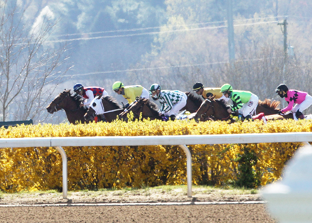 Keeneland racing spring 2021