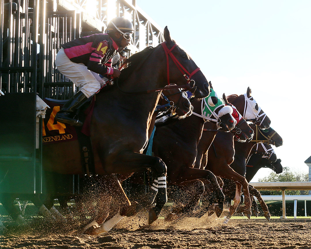 The field breaks from the gate at Keeneland Racecourse