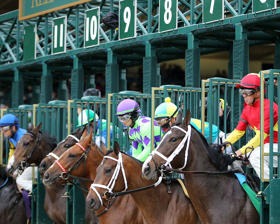 Keeneland starting gate