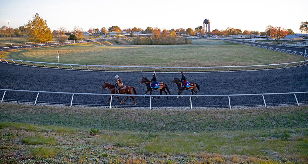 European horses on the training track at Keeneland Racecourse, Nov. 2