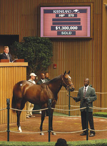 Hip 570