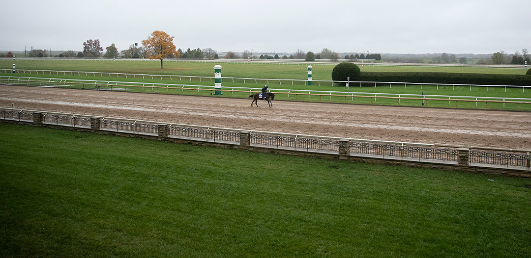 Jesus' Team at Keeneland Racetrack on Oct. 29