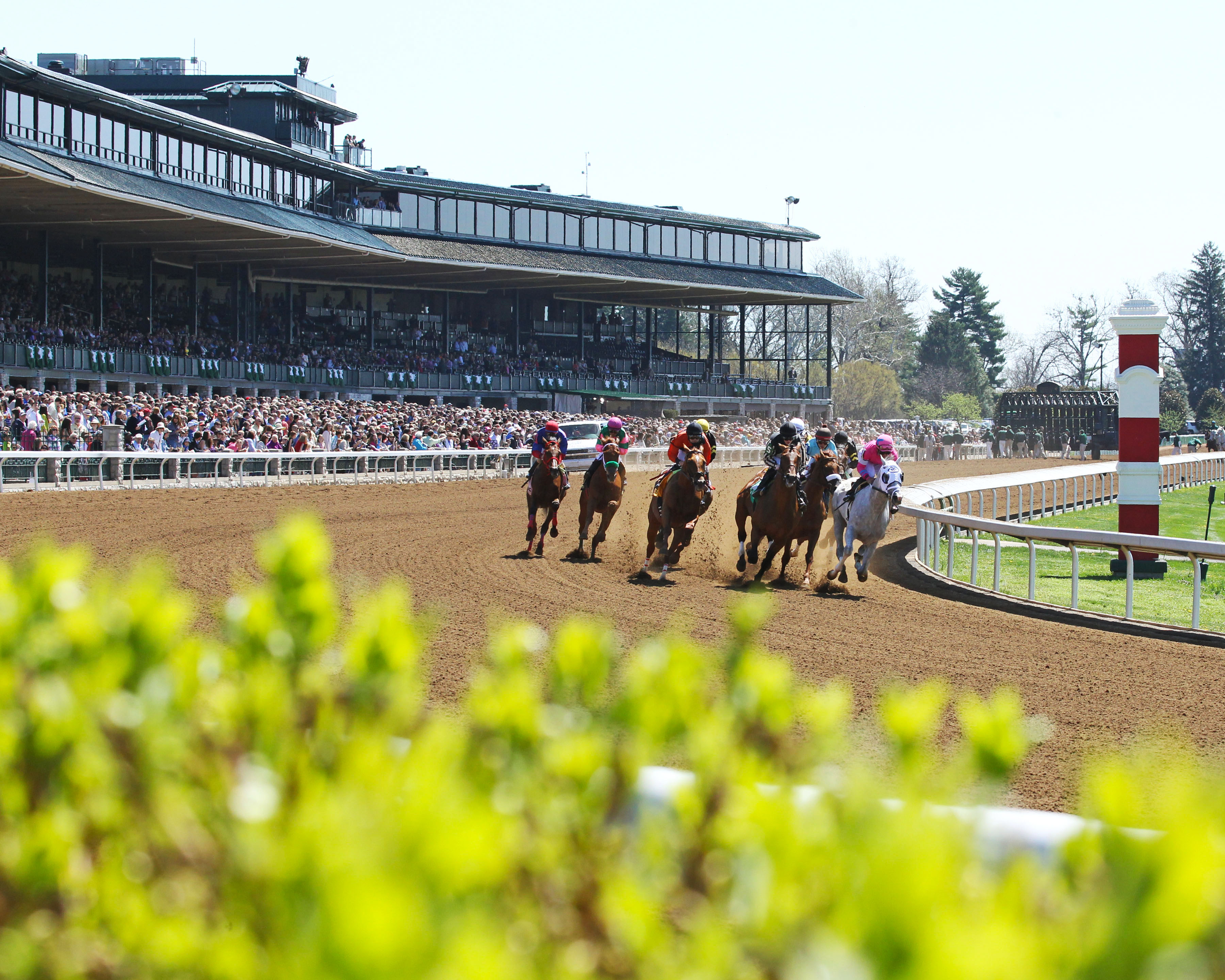 Dirt race at Keeneland Racecourse