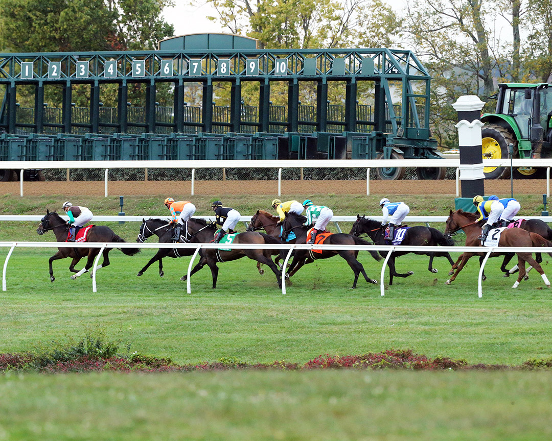 Keeneland turf racing, October 2020