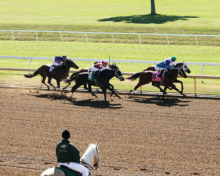 Racing at Keeneland Racecourse in October 2019