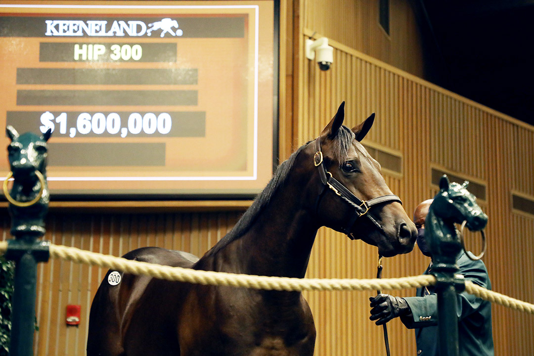 Keeneland Sales