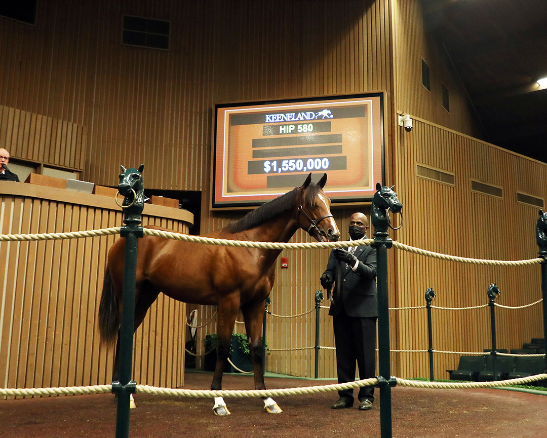 A Justify/True Feelings colt, sells for $1.55 million at the Keeneland September Yearling Sale