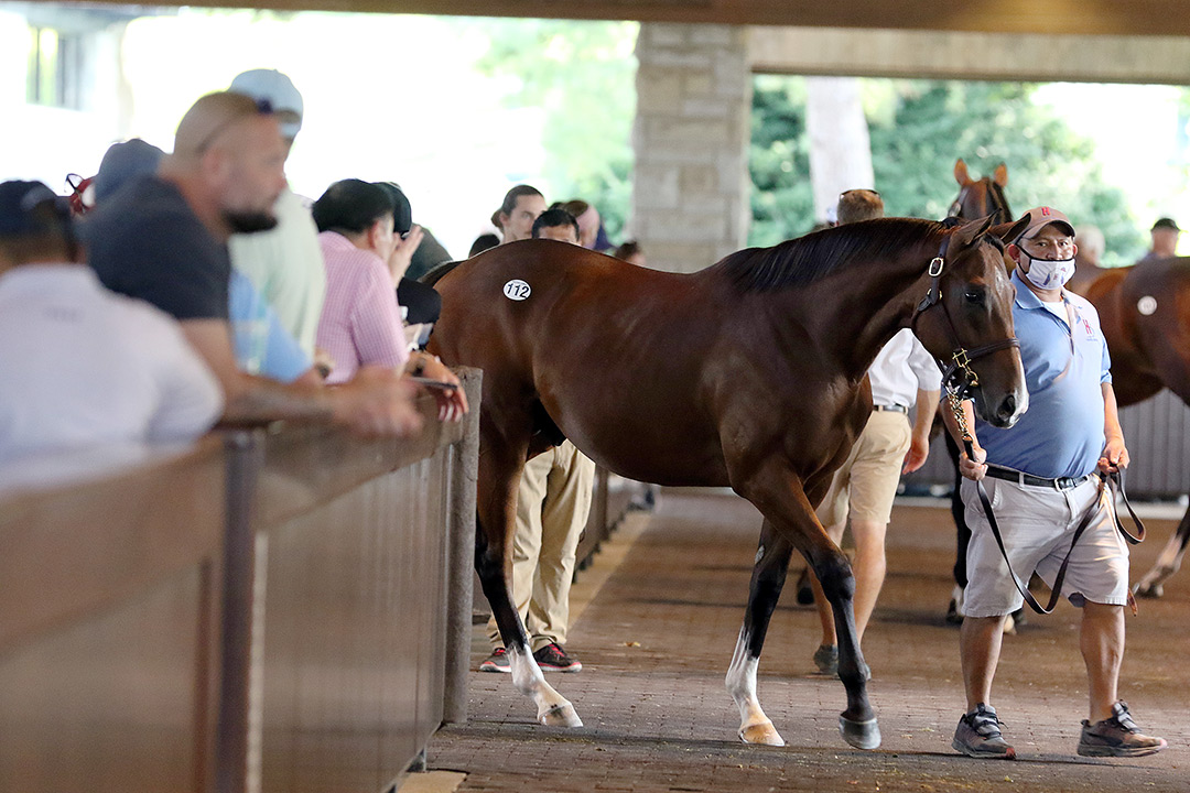 Keeneland September yearling sale 2021