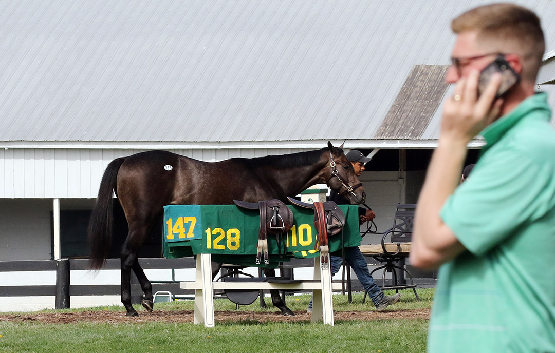 Keeneland April sale 2019