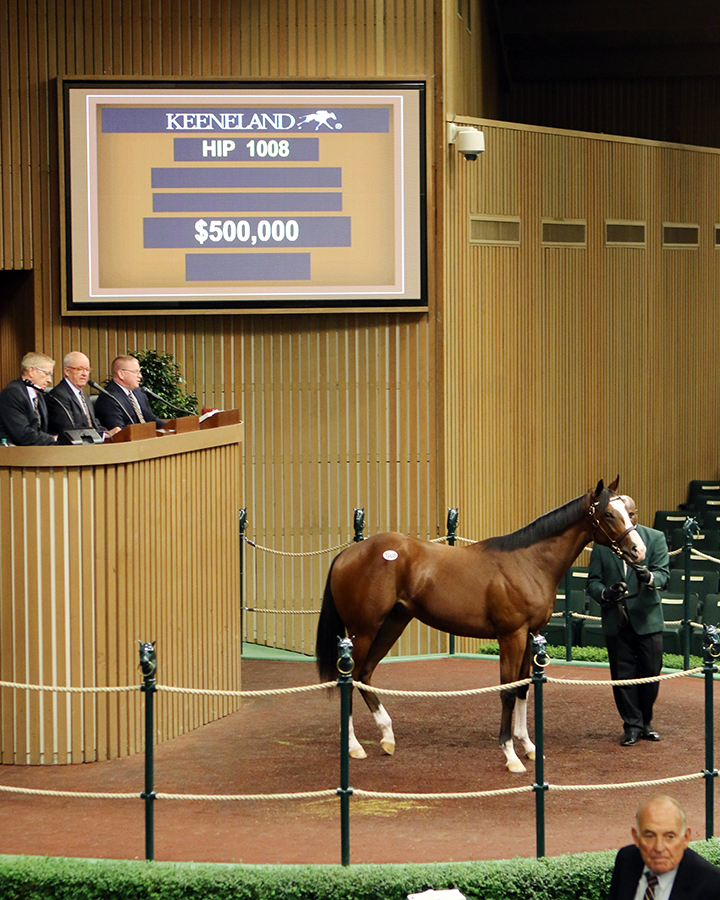 Ragtime Blues sells for $500,000 at the 2018 Keeneland September Yearling Sale