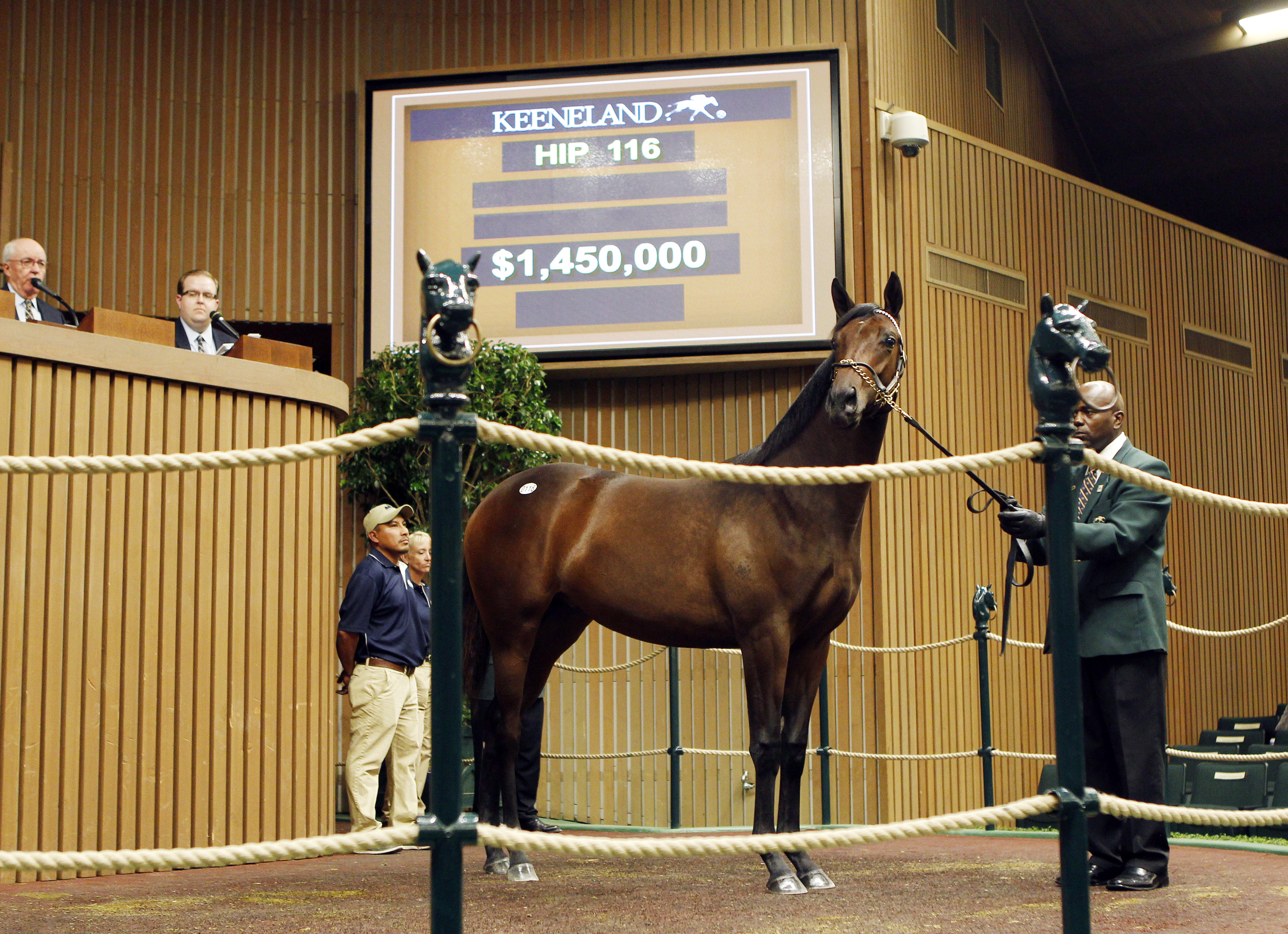 Hip 116, War Front Betterbetterbetter filly sells for $1.45 million