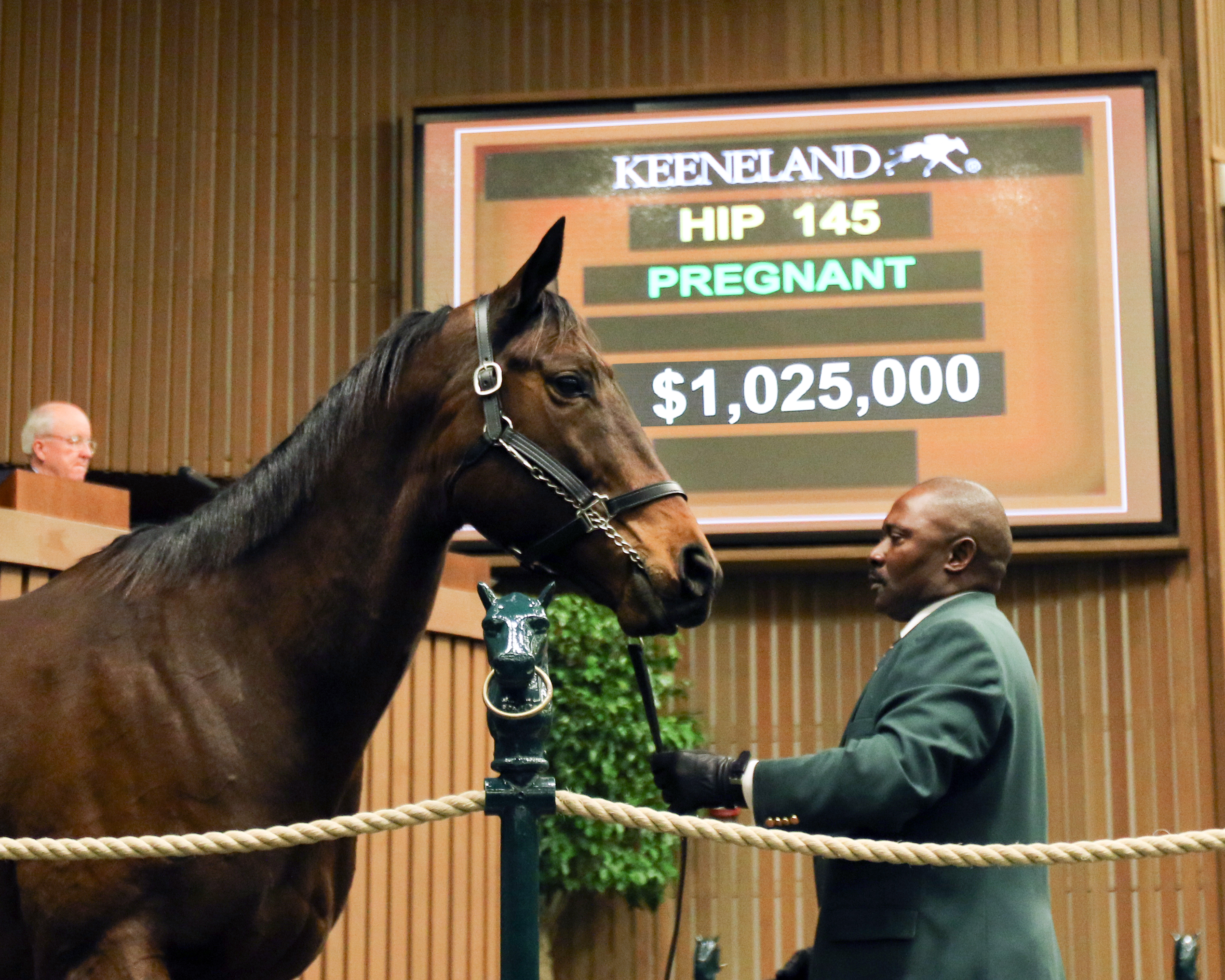 Siren Serenade Keeneland January sale topper