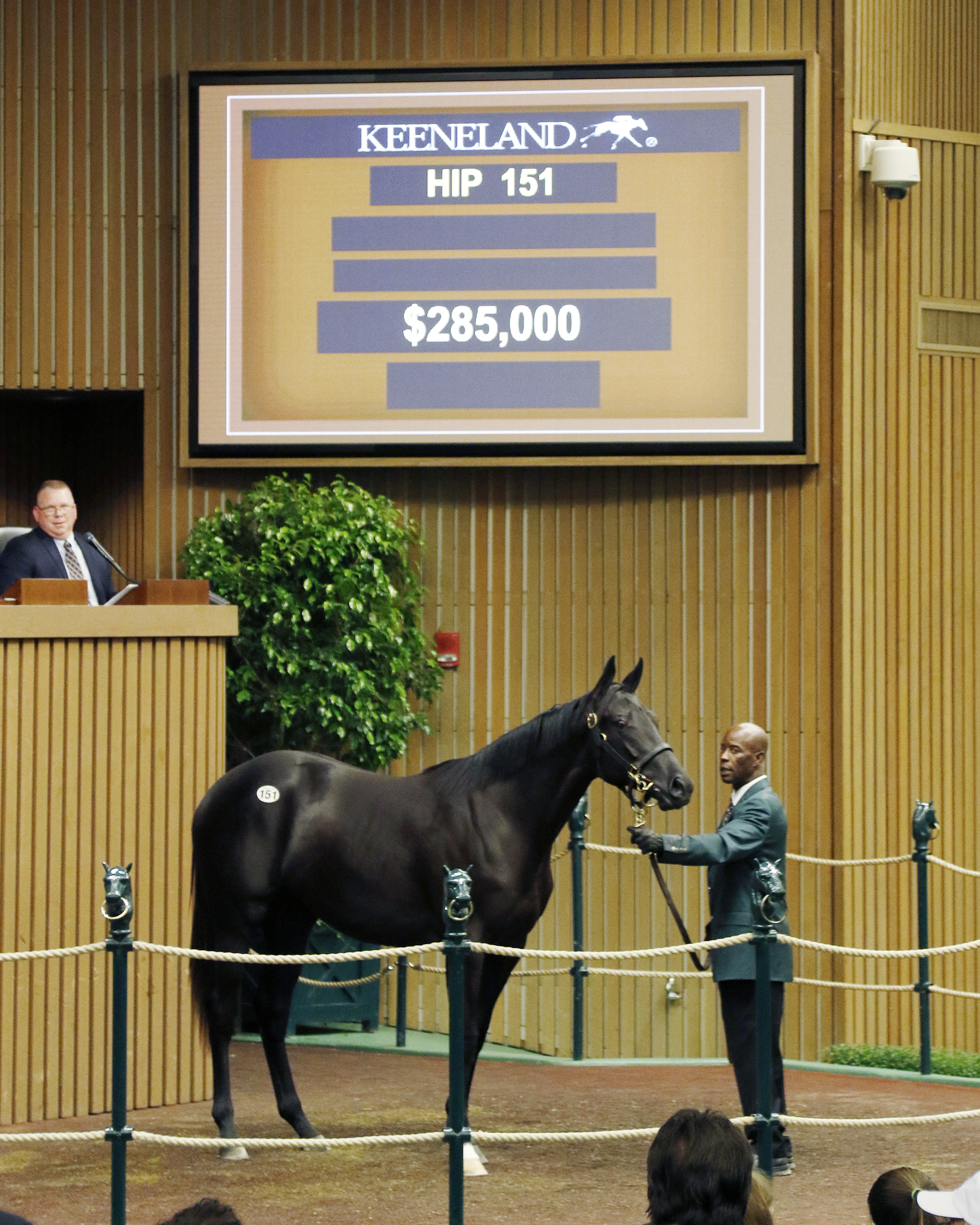 Deep Impact/Cherokee filly, did not reach her reserve at the Keeneland September Yearling Sale