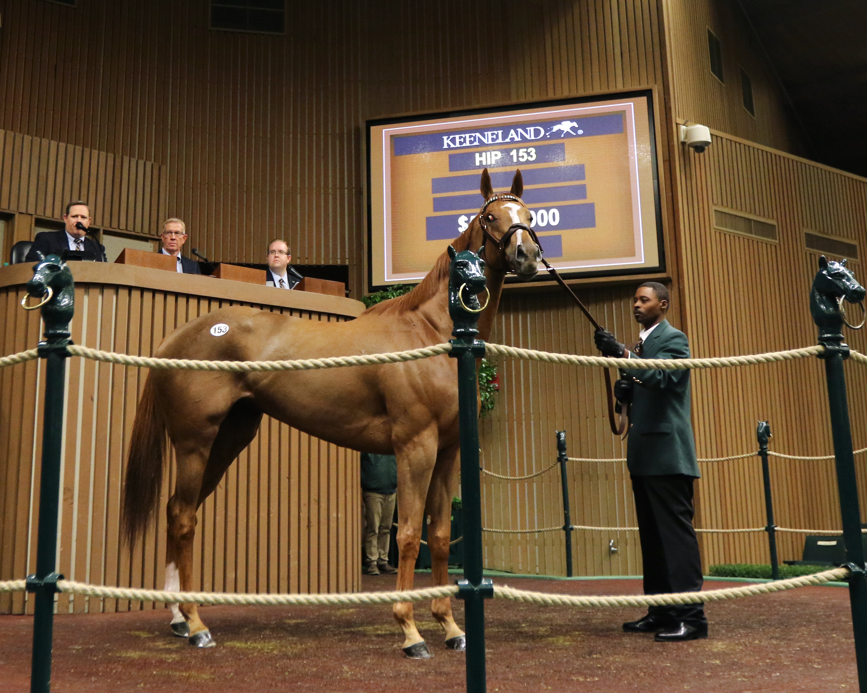 Stellar Wind sells at the Keeneland November Breeding Stock Sale