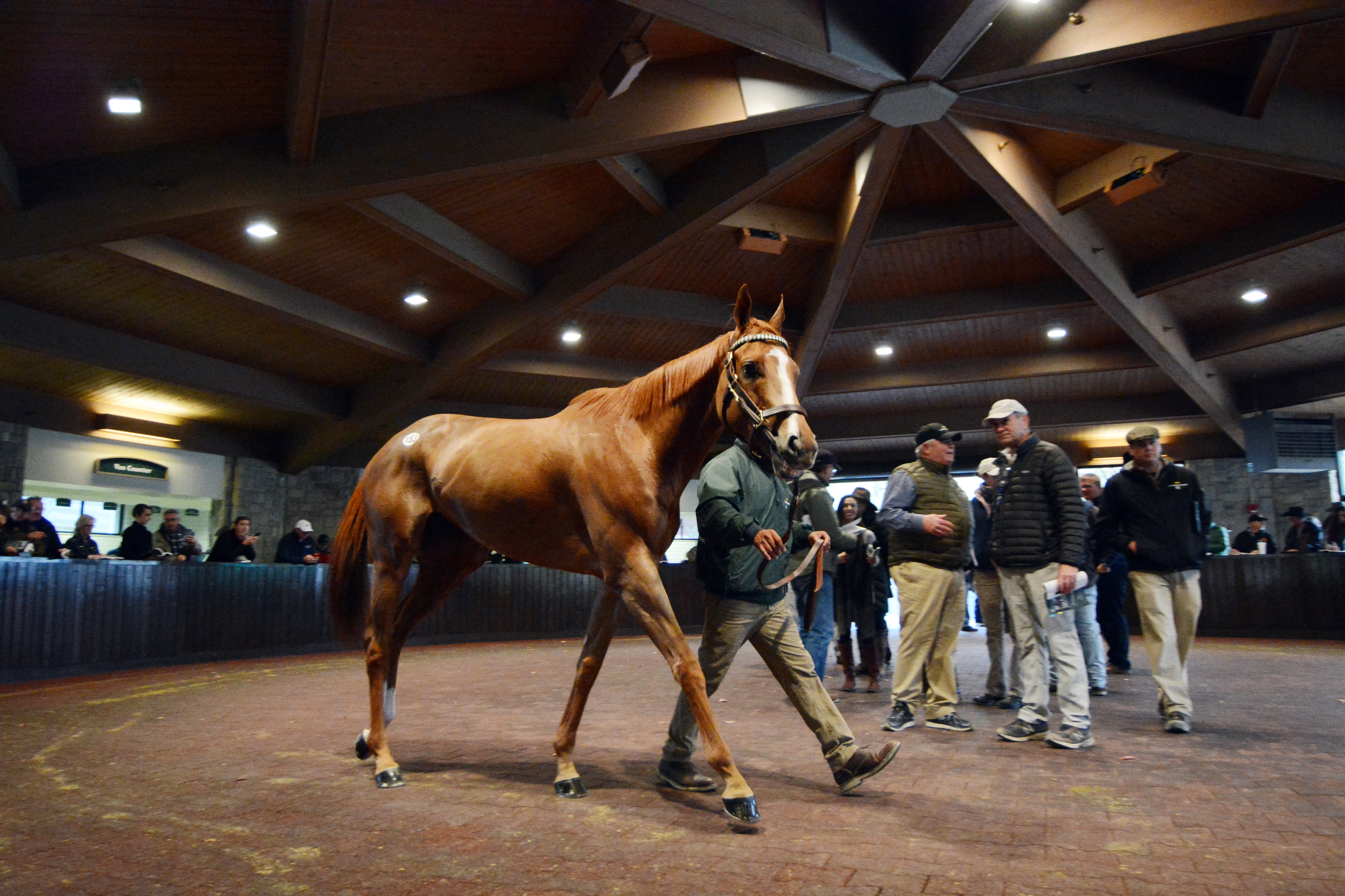 Stellar wind at the Keeneland November sale