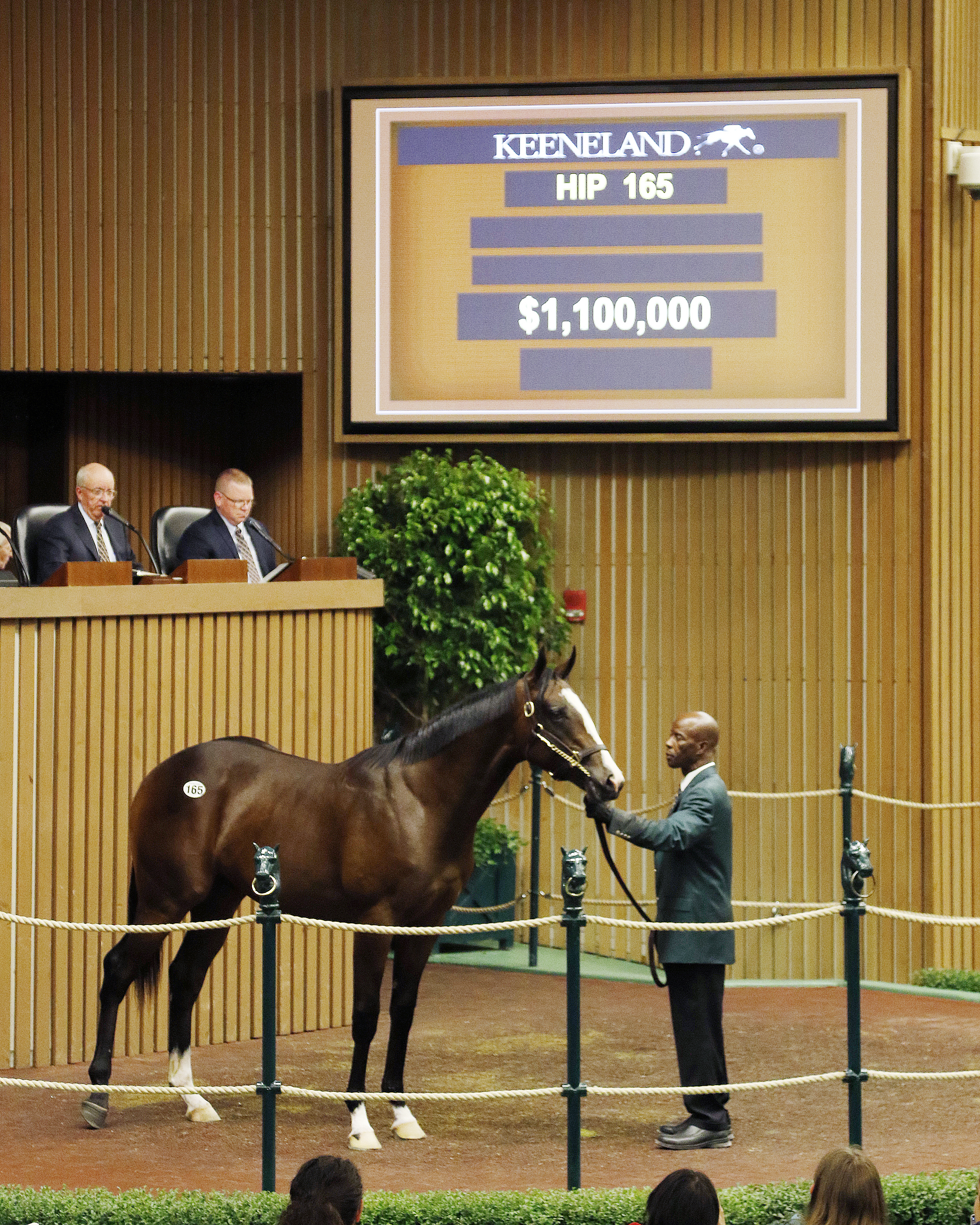 Successful weanling pinhookers share a discerning eye for development