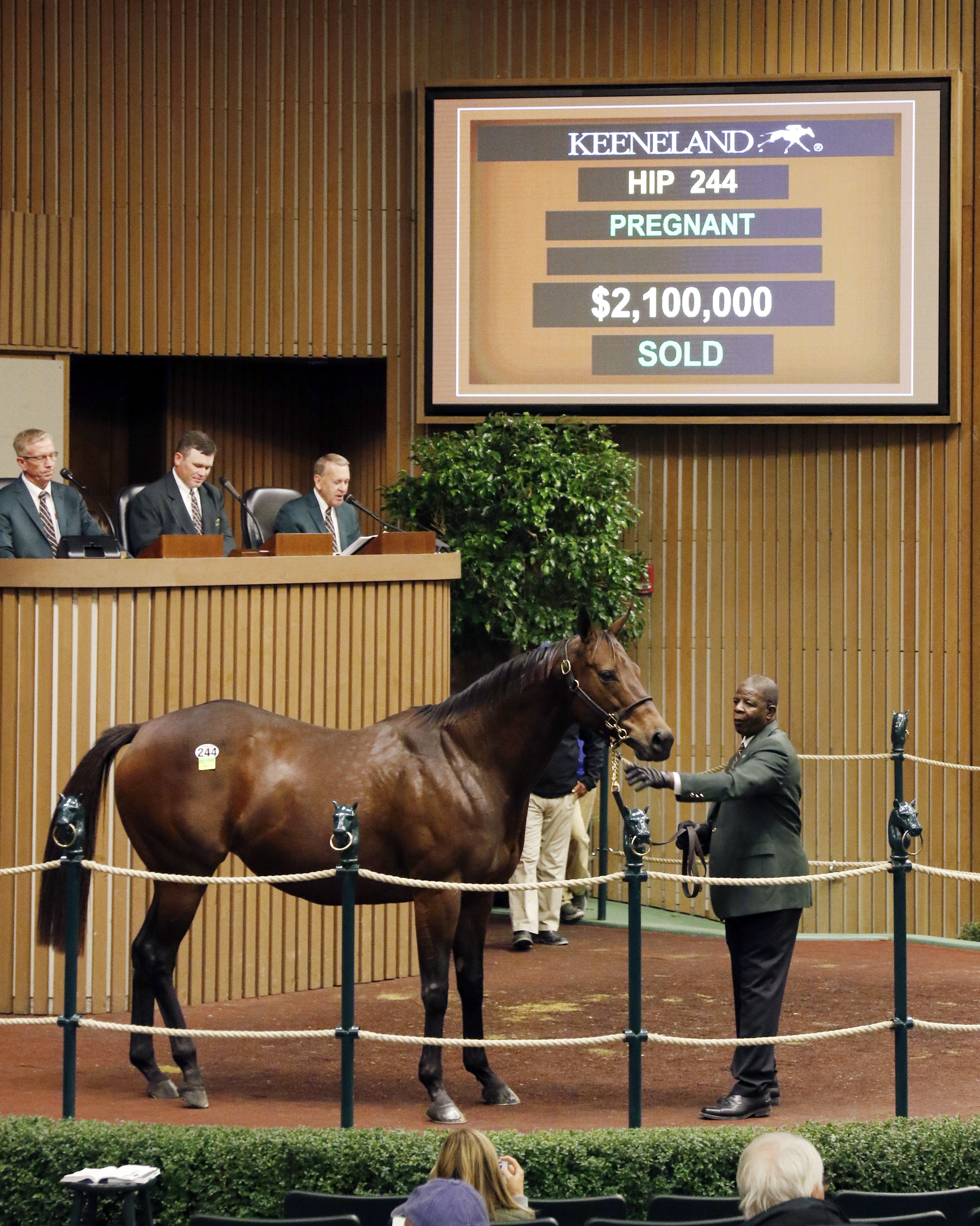 For Royalty sells for $2.1 million at the Keeneland November sale