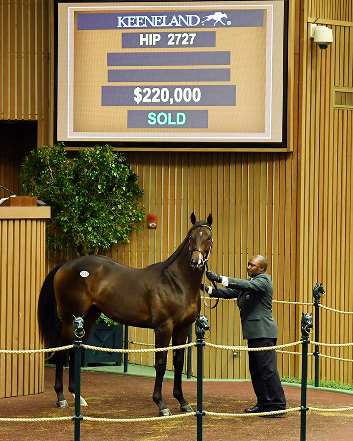 Outwork colt sells for $220,000 in Book 4 of Keeneland September yearling sale