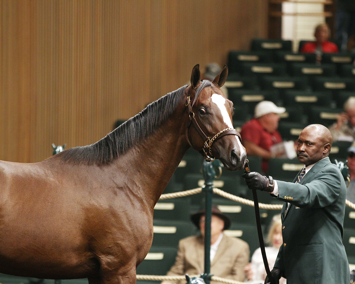 Hip 297 Keeneland September Yearling Sale 2018