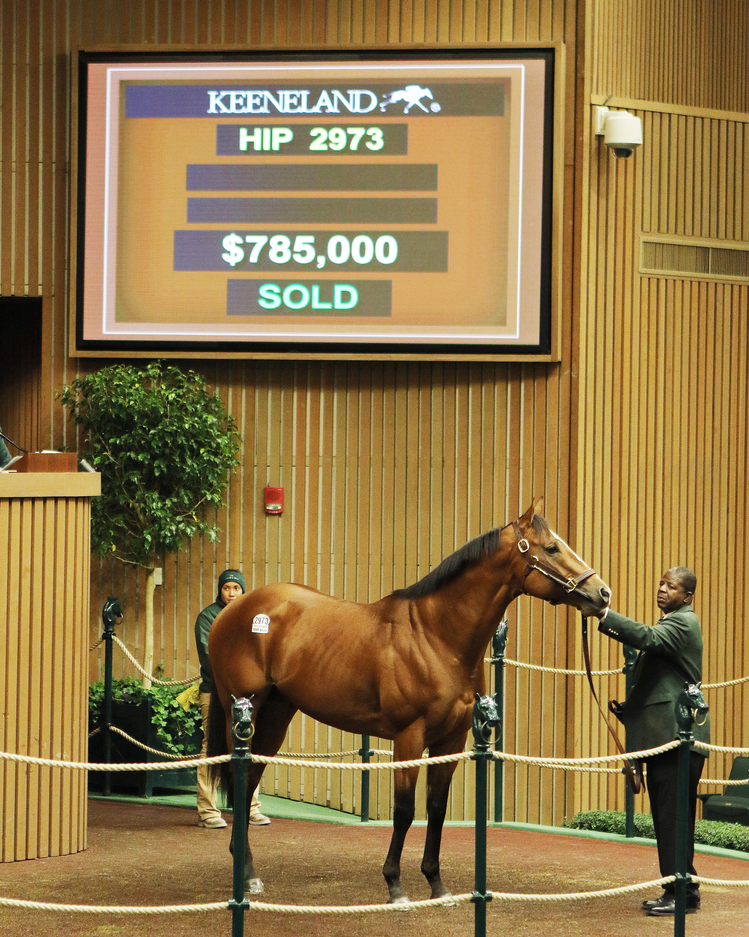 Conquest Enforcer sells for $785,000